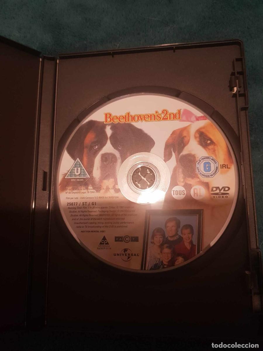 Cine: DVD Beethoven 2 - Foto 2