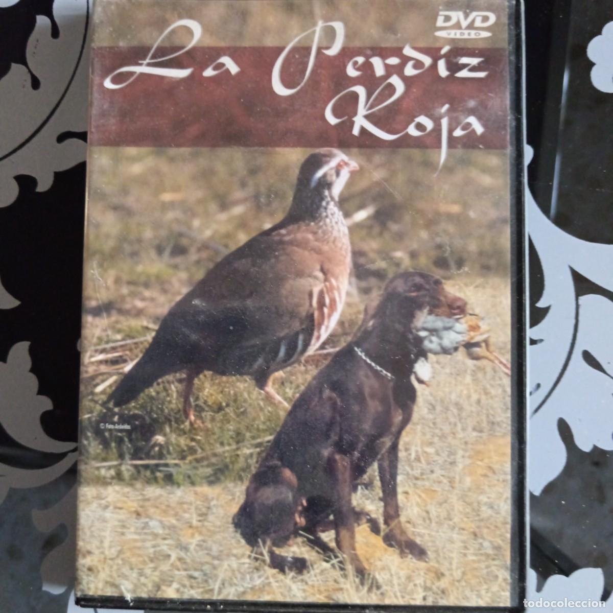 Cinema: La Perdiz roja