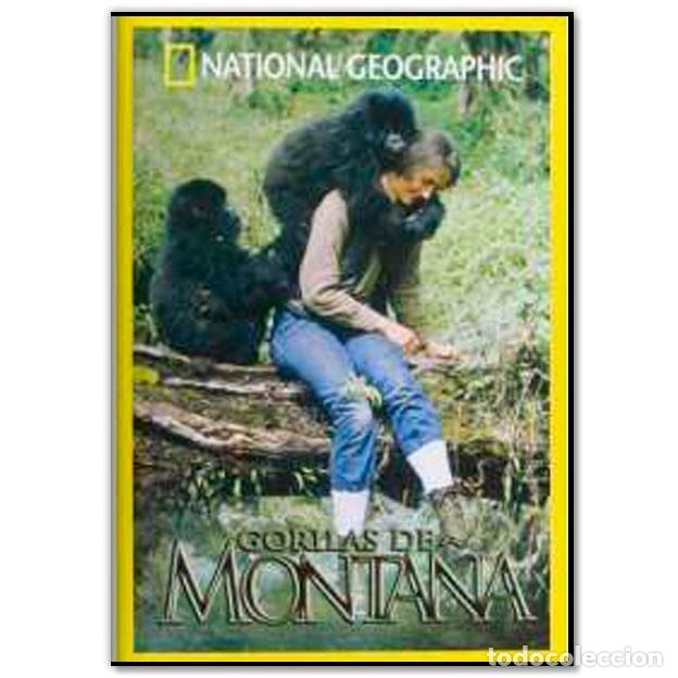 Cinema: GORILAS DE MONTAÑA DVD