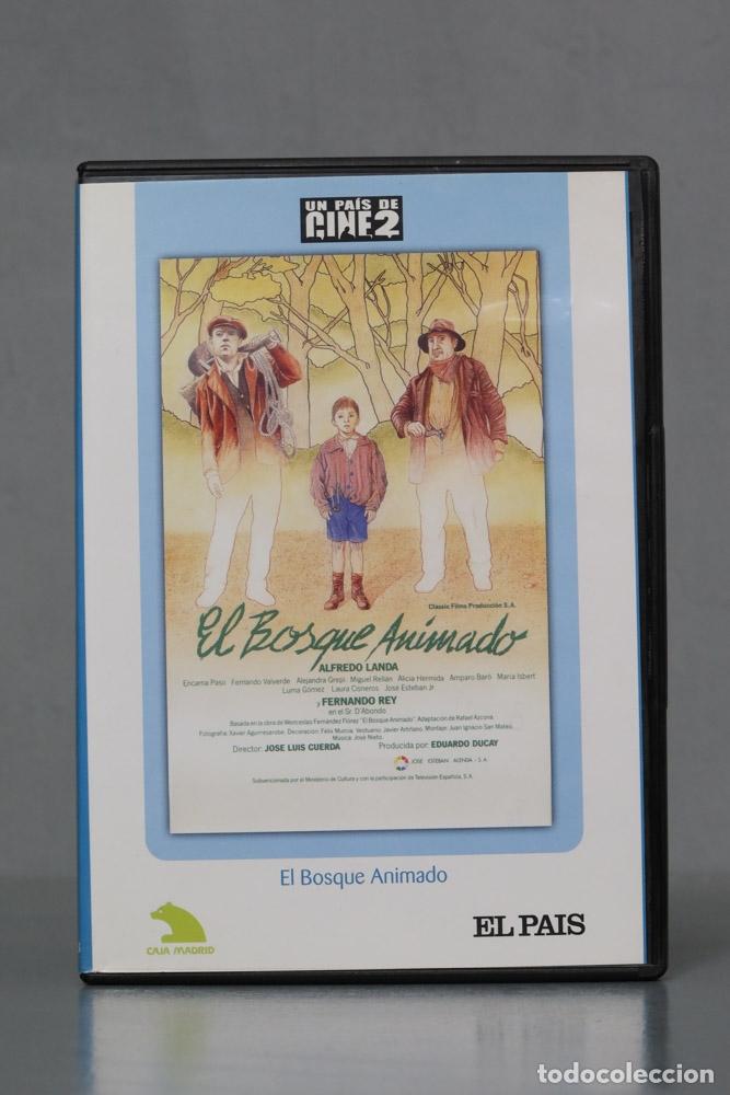 Cine: DVD. EL BOSQUE ANIMADO - Foto 1