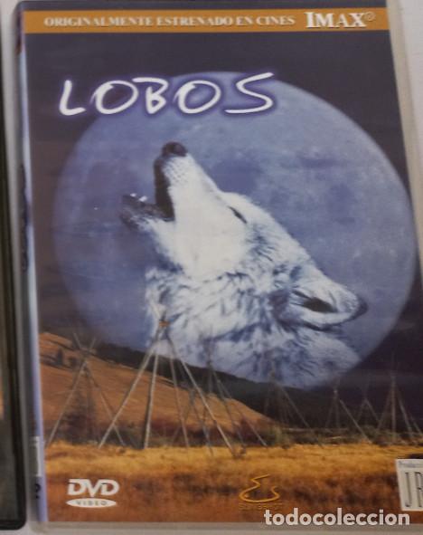 Cine: LOBOS, DOCUMENTAL IMAX DVD - Foto 1
