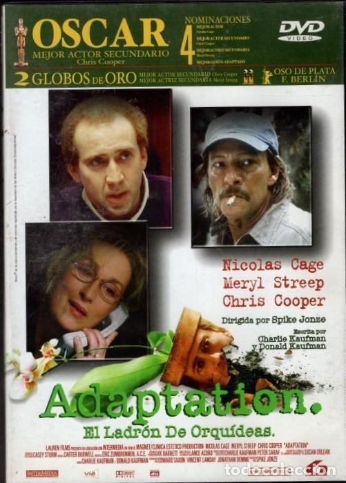 Cine: ADAPTATIO- EL LADRON DE ORQUIDEAS DVD- 4 NOMINACIONES AL OSCAR Y MEJOR ACTOR DE REPARTO