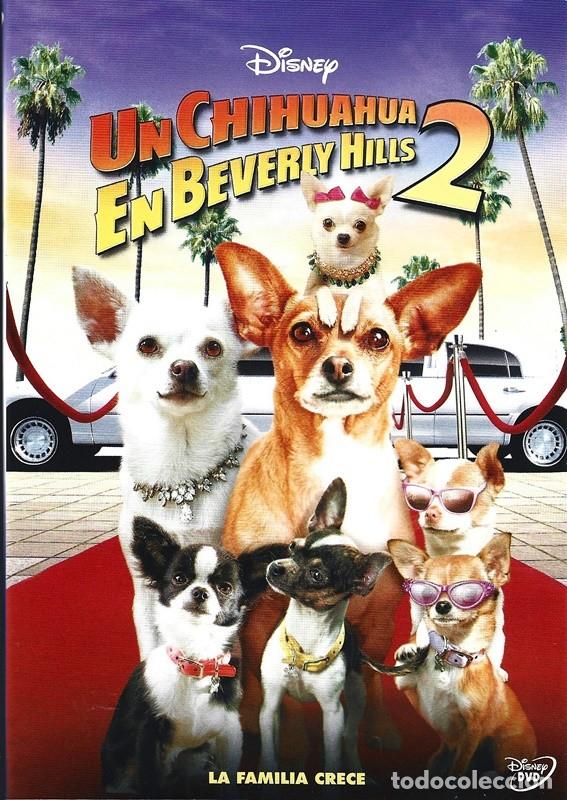 Cinema: UN CHIHUAHUA EN BEVERLY HILLS 2