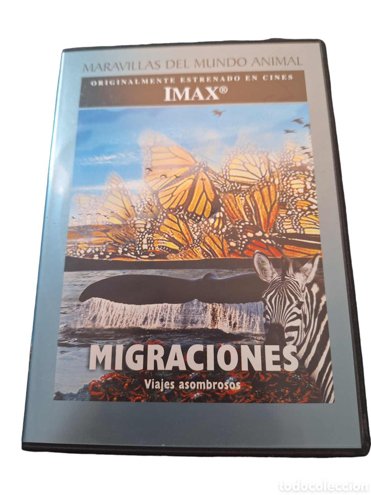 Cin&eacute;ma: DVS41 migraciones DVD TAPA FINA