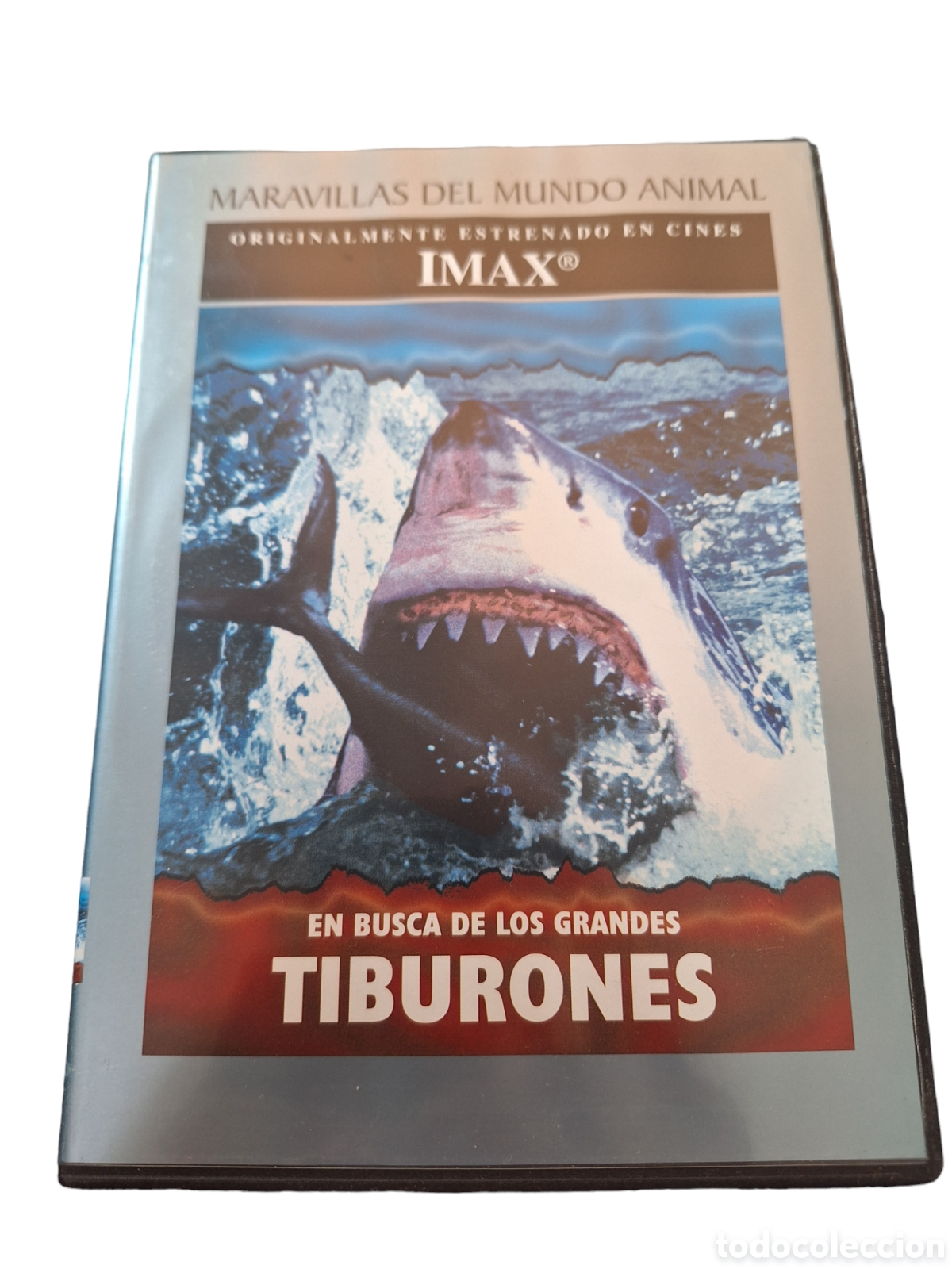 Cinema: DVS41 en busca de los grandes tiburones DVD TAPA FINA
