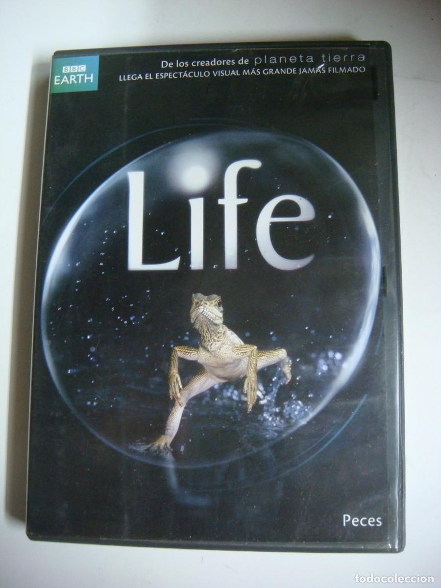 Kino: D.V.D. DE LIFE-CAJ-N&ordm;-1