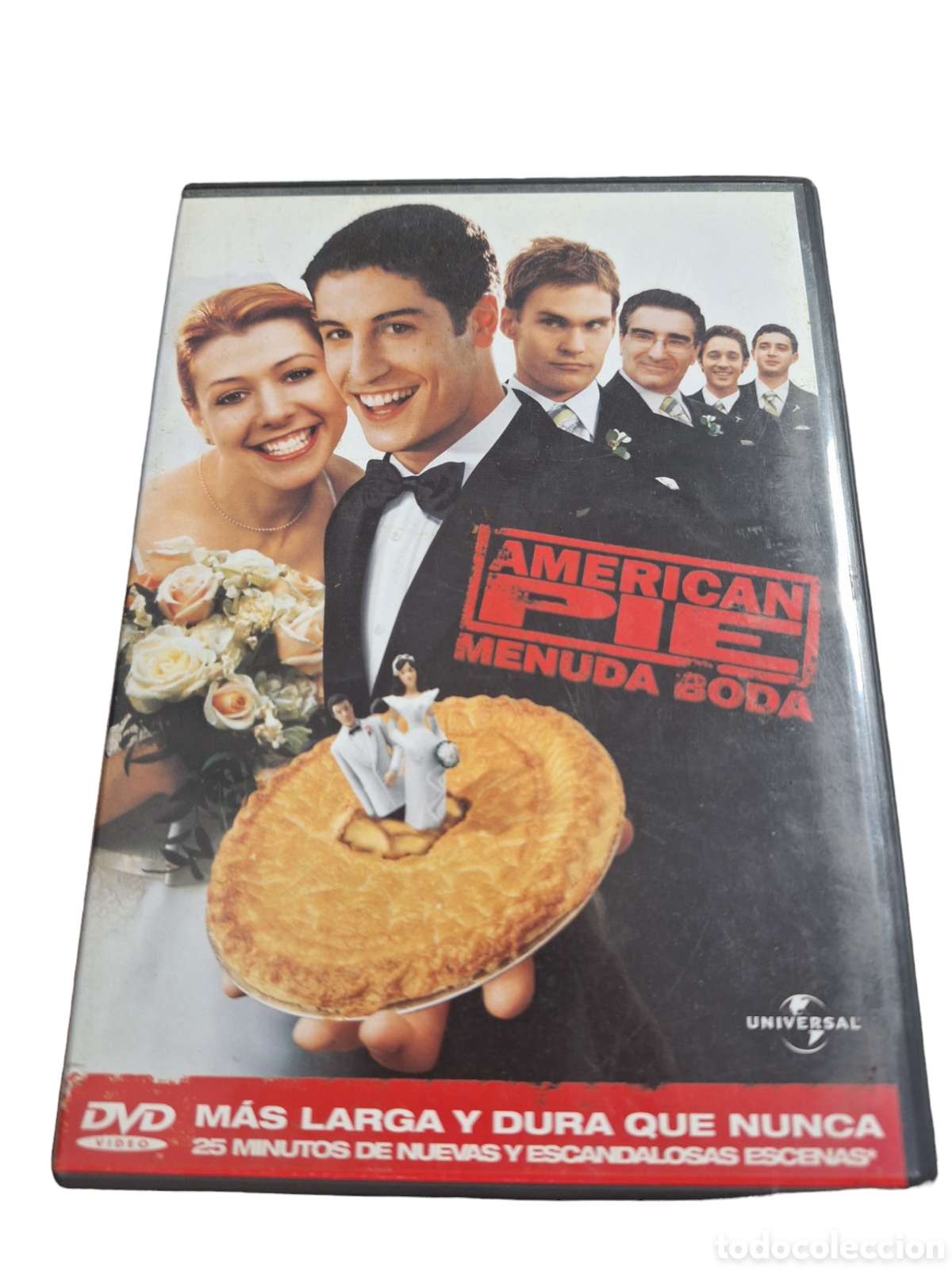 Kino: S762 american pie menuda boda DVD SEGUNDAMANO