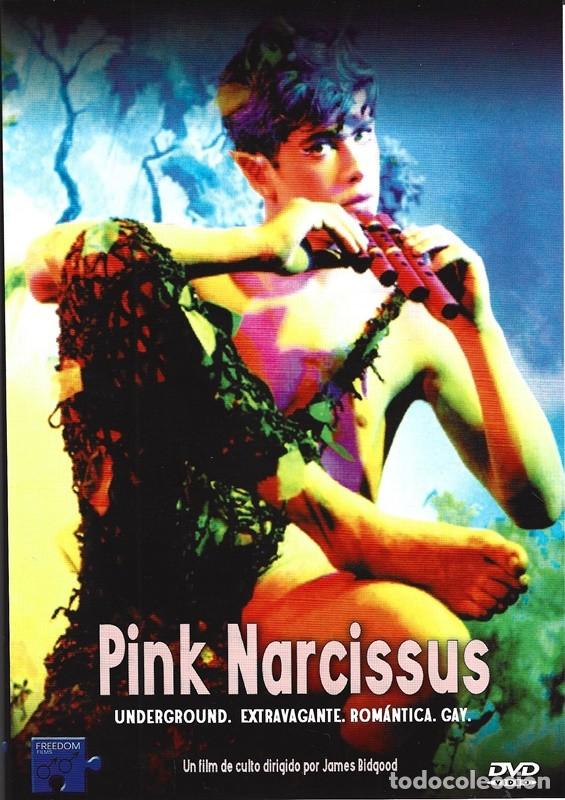 Cinema: PINK NARCISSUS (DVD)