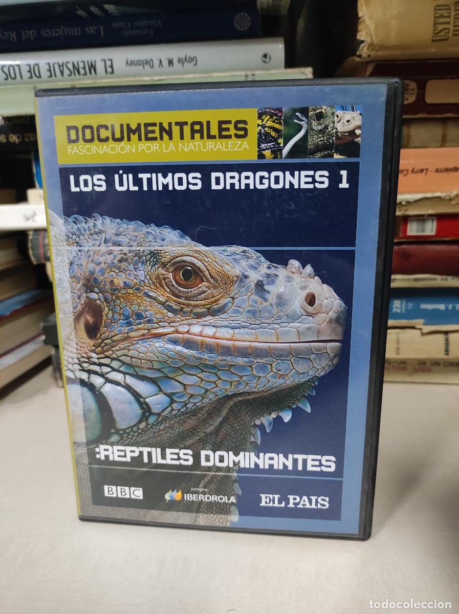 Cinema: REPTILES DOMINANTES LOS ULTIMOS DRAGONES 1