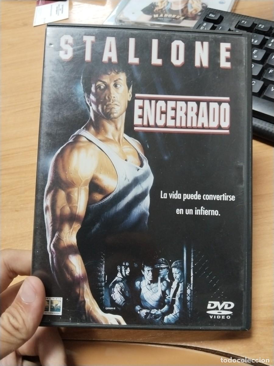 Cine: Encerrado Stallone dvd