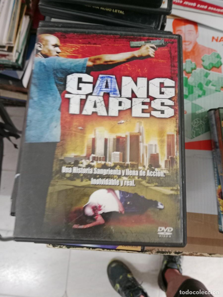 Cine: TOP-06 DVD CINE Gang tapes - Darris Love, Don Cambell GANGTAPES