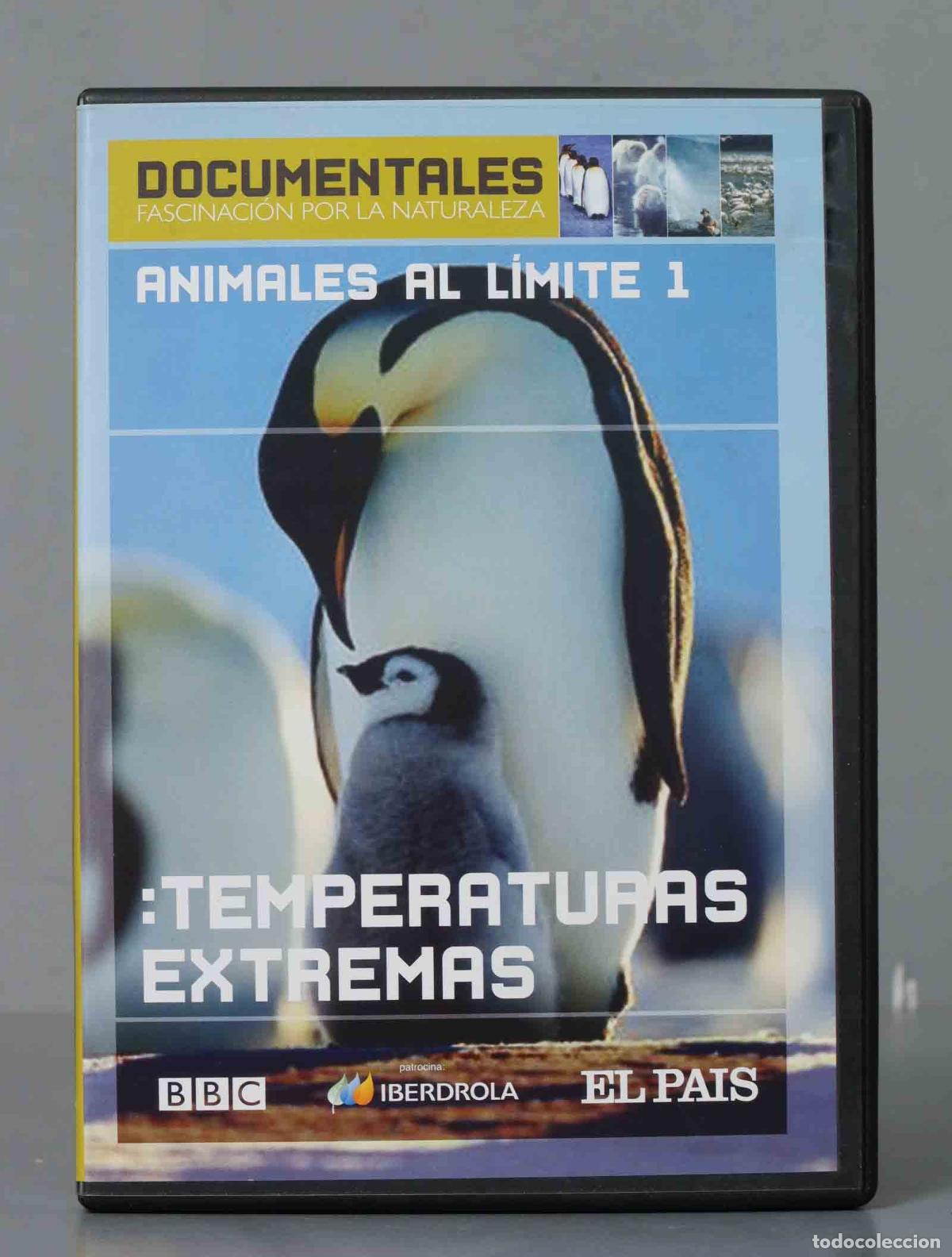 Kino: DVD. Animales al limikte: temperaturas extremas