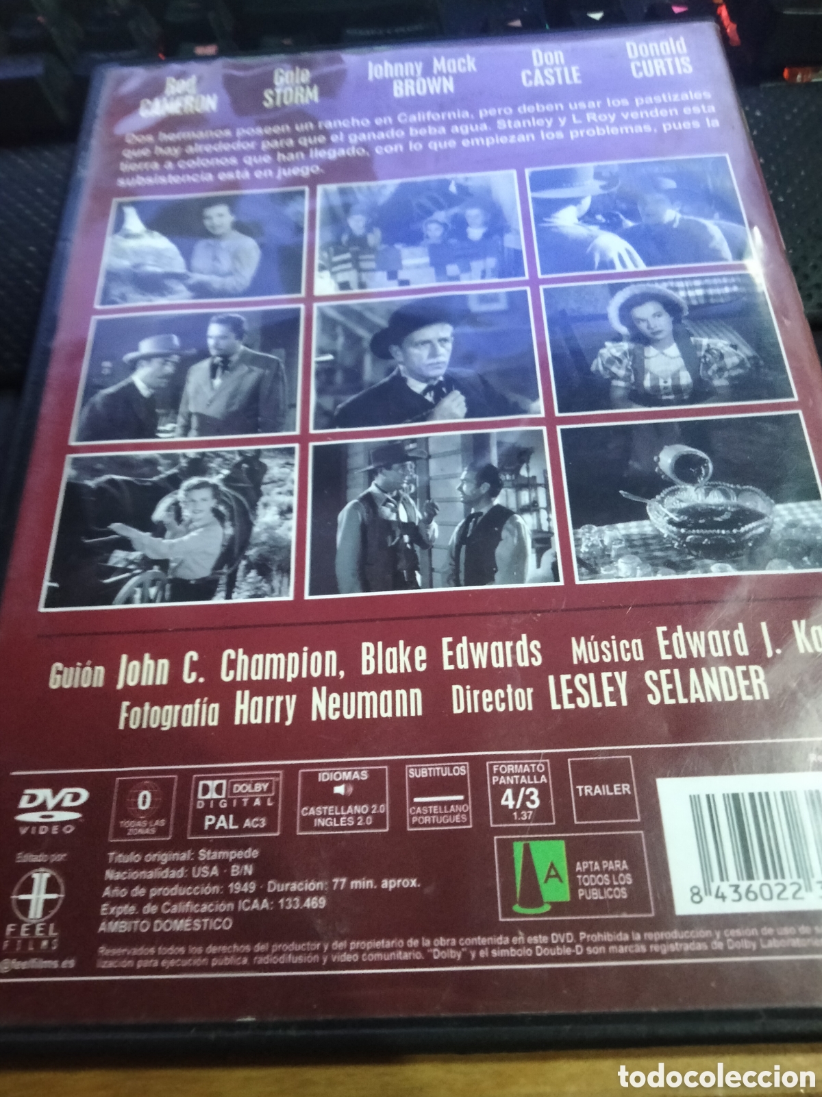 Cine: Pel&iacute;cula Estampida dvd -1 - Foto 2