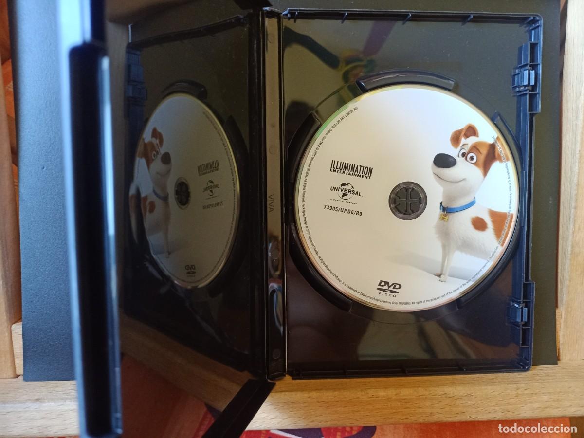 Cine: MASCOTAS. DVD. UNIVERSAL. 2016. - Foto 2