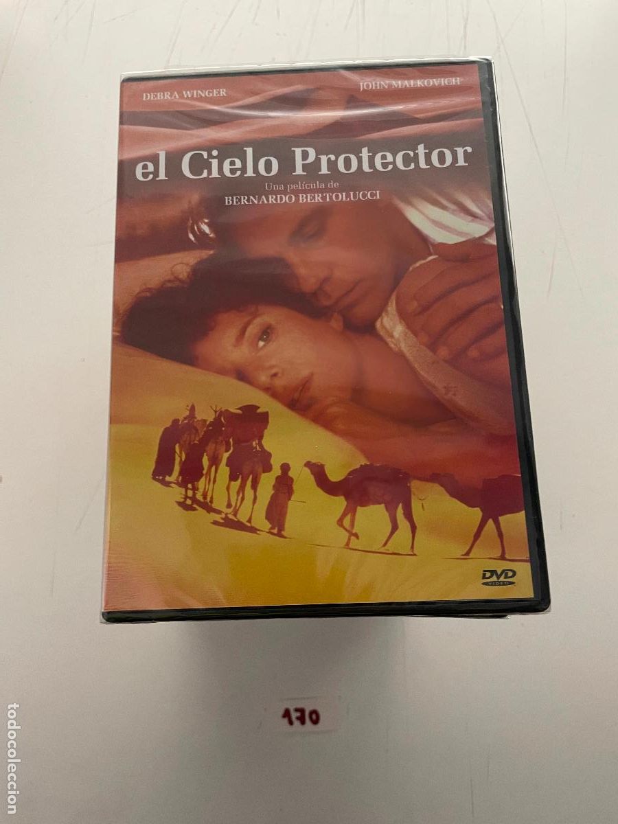 Cine: Pel&iacute;cula DVD: El cielo Protector - Foto 1