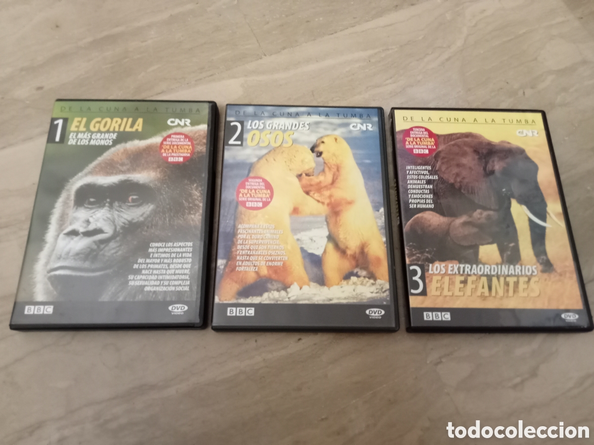 Kino: 3 DVDs BBC. Elegantes + Osos + Gorilas.