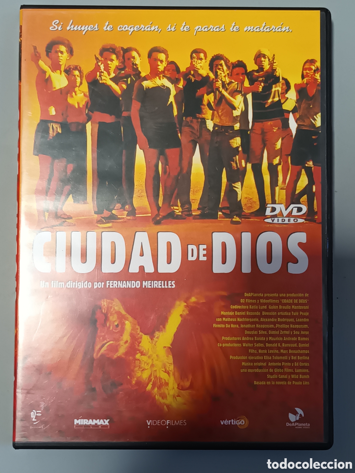 Kino: Ciudad de dios dvd pelicula