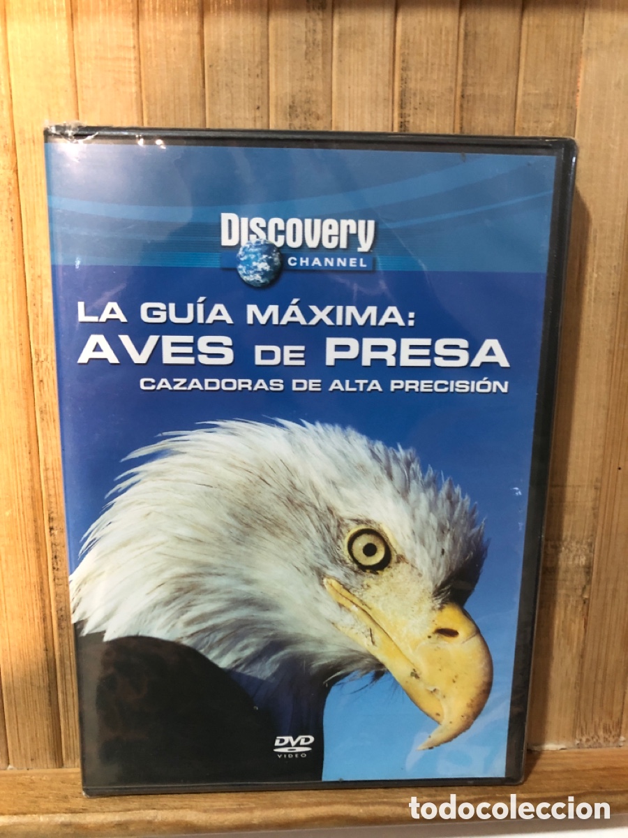 Kino: La gu&iacute;a m&aacute;xima : Aves de presa DVD - Precintado -
