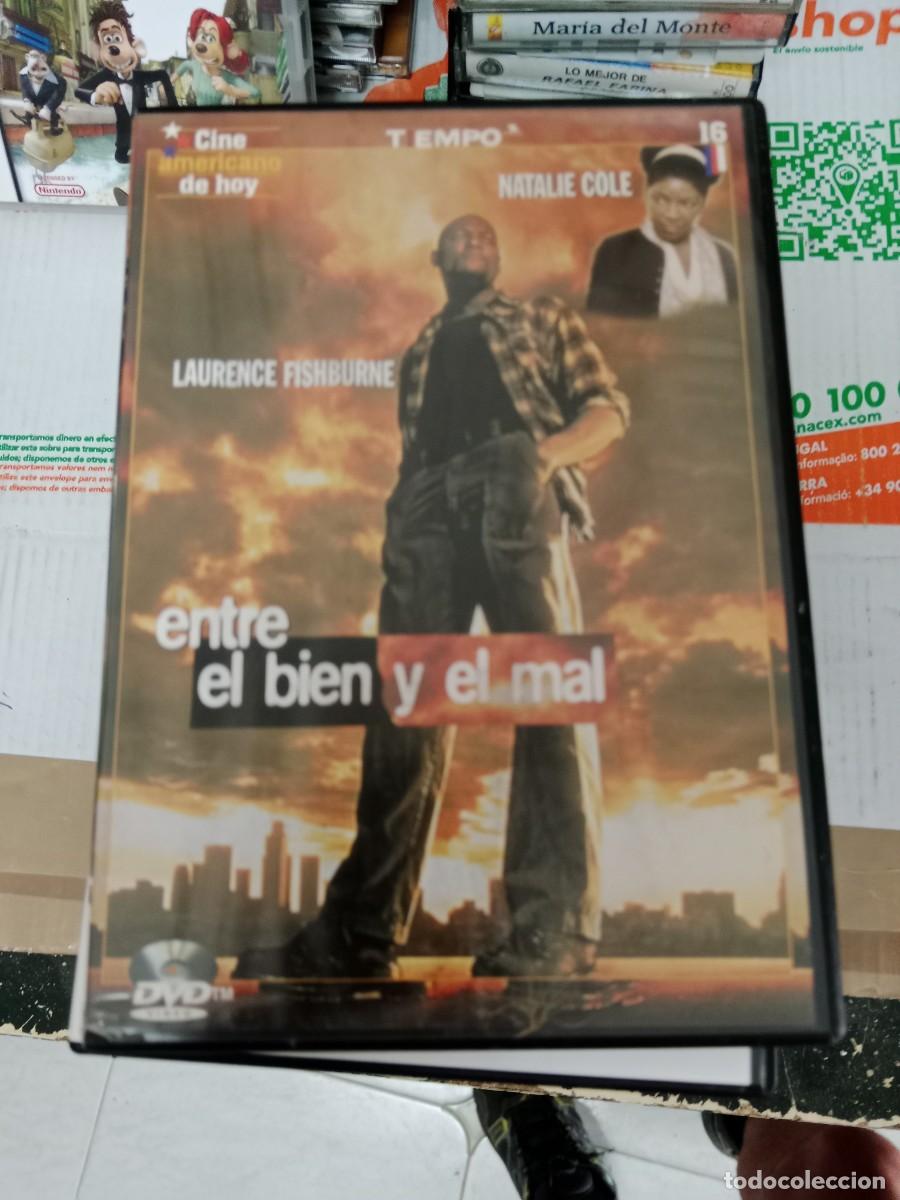 Cinema: L-CB5 DVD CINE ENTRE EL BIEN Y EL MAL