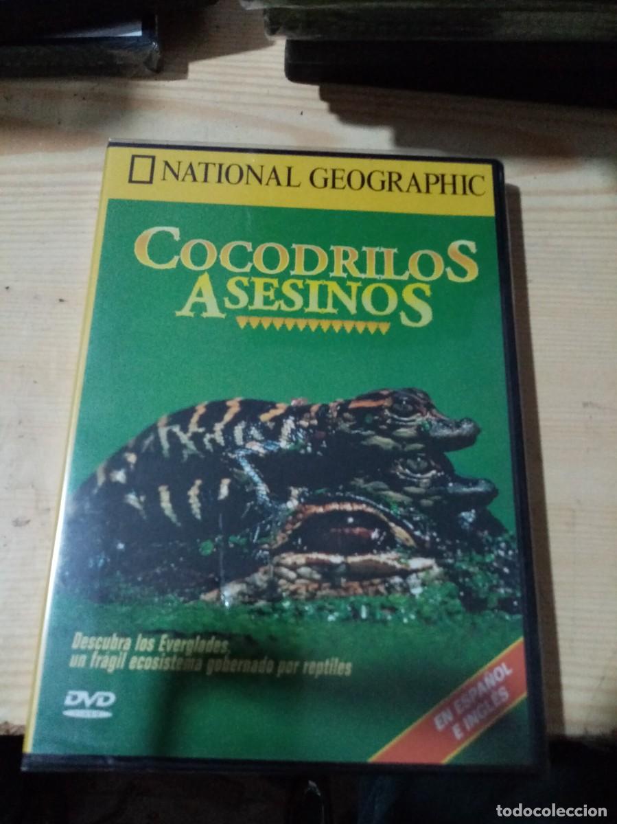 Kino: NATIONAL GEOGRAPHIC. COCODRILOS ASESINOS. NUEVO PRECINTADO. C19DVD