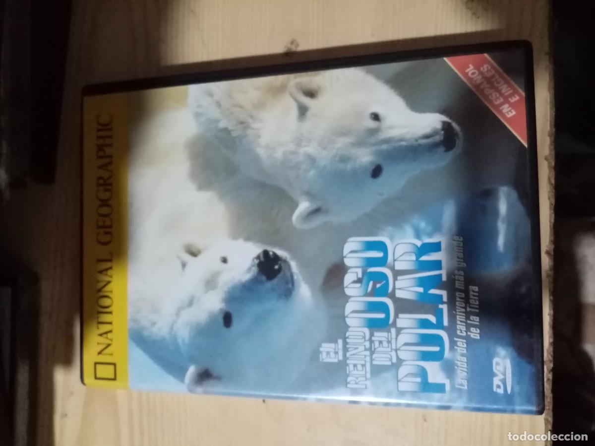 Cin&eacute;ma: NATIONAL GEOGRAPHIC. EL REINO DEL OSO POLAR. C19DVD