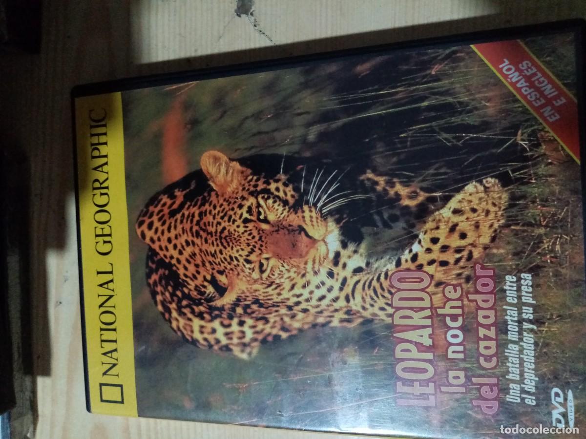 Cin&eacute;ma: NATIONAL GEOGRAPHIC. LEOPARDO LA NOCHE DEL CAZADOR. C17DVD