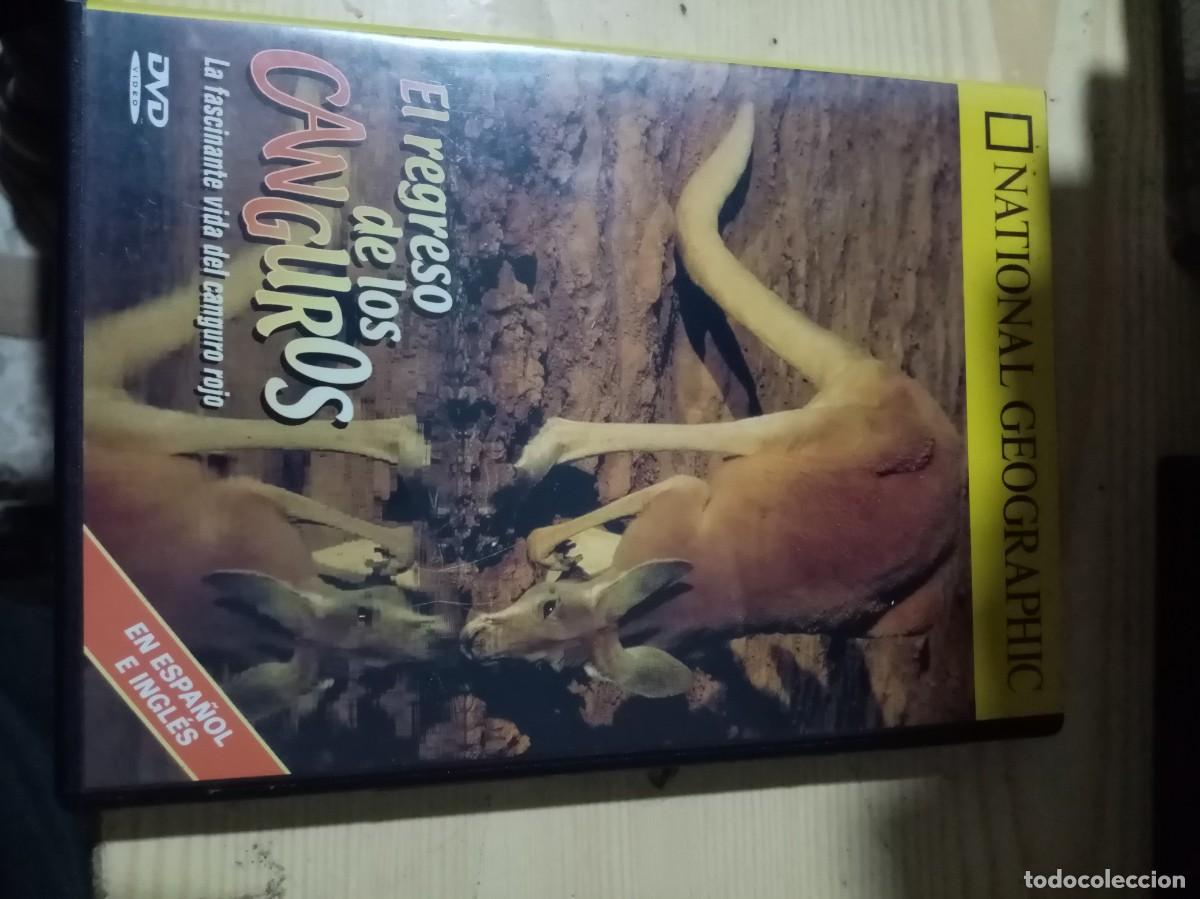 Cin&eacute;ma: NATIONAL GEOGRAPHIC. EL REGRESO DE LOS CANGUROS. . C17DVD