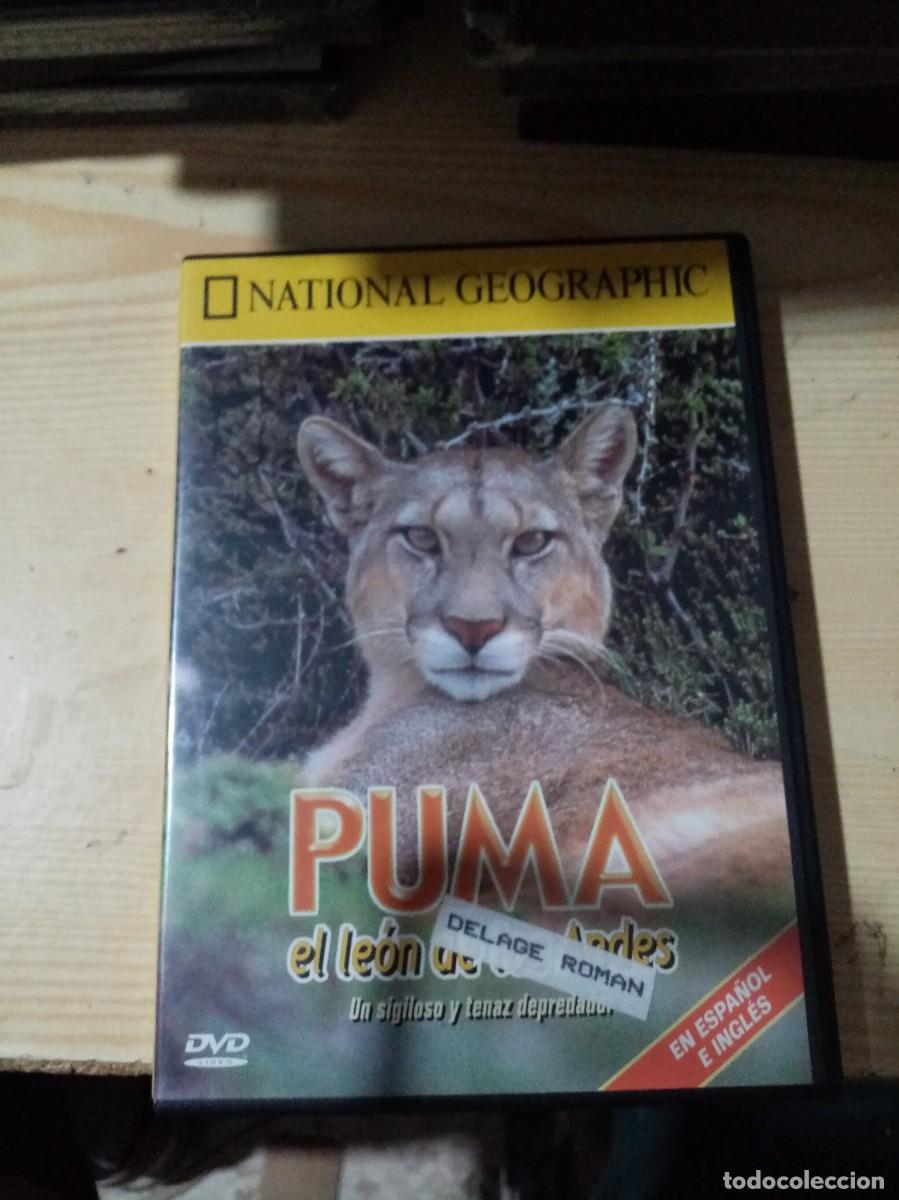 Cin&eacute;ma: NATIONAL GEOGRAPHIC. PUMA EL LEON DE LOS ANDES. C17DVD