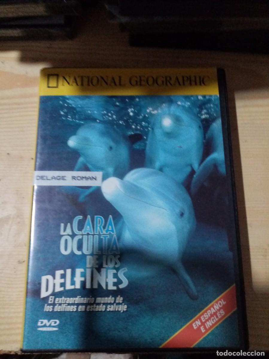 Cin&eacute;ma: NATIONAL GEOGRAPHIC. LA CARA OCULTA DE LOS DELFINES C17DVD