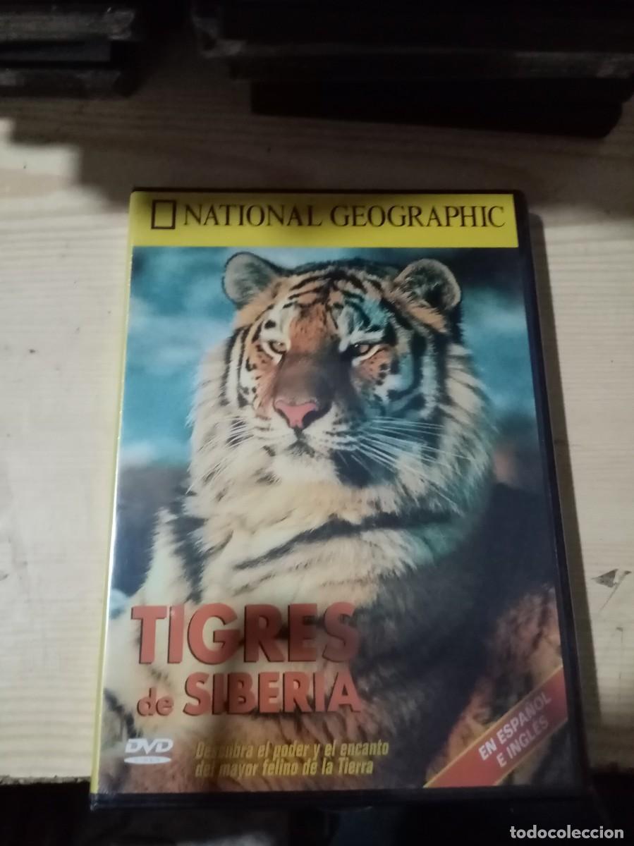 Cin&eacute;ma: NATIONAL GEOGRAPHIC. TIGRES DE SIBERIA. C17DVD