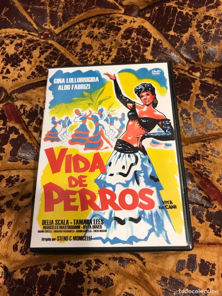 Cine: DVD. VIDA DE PERROS... - Foto 1