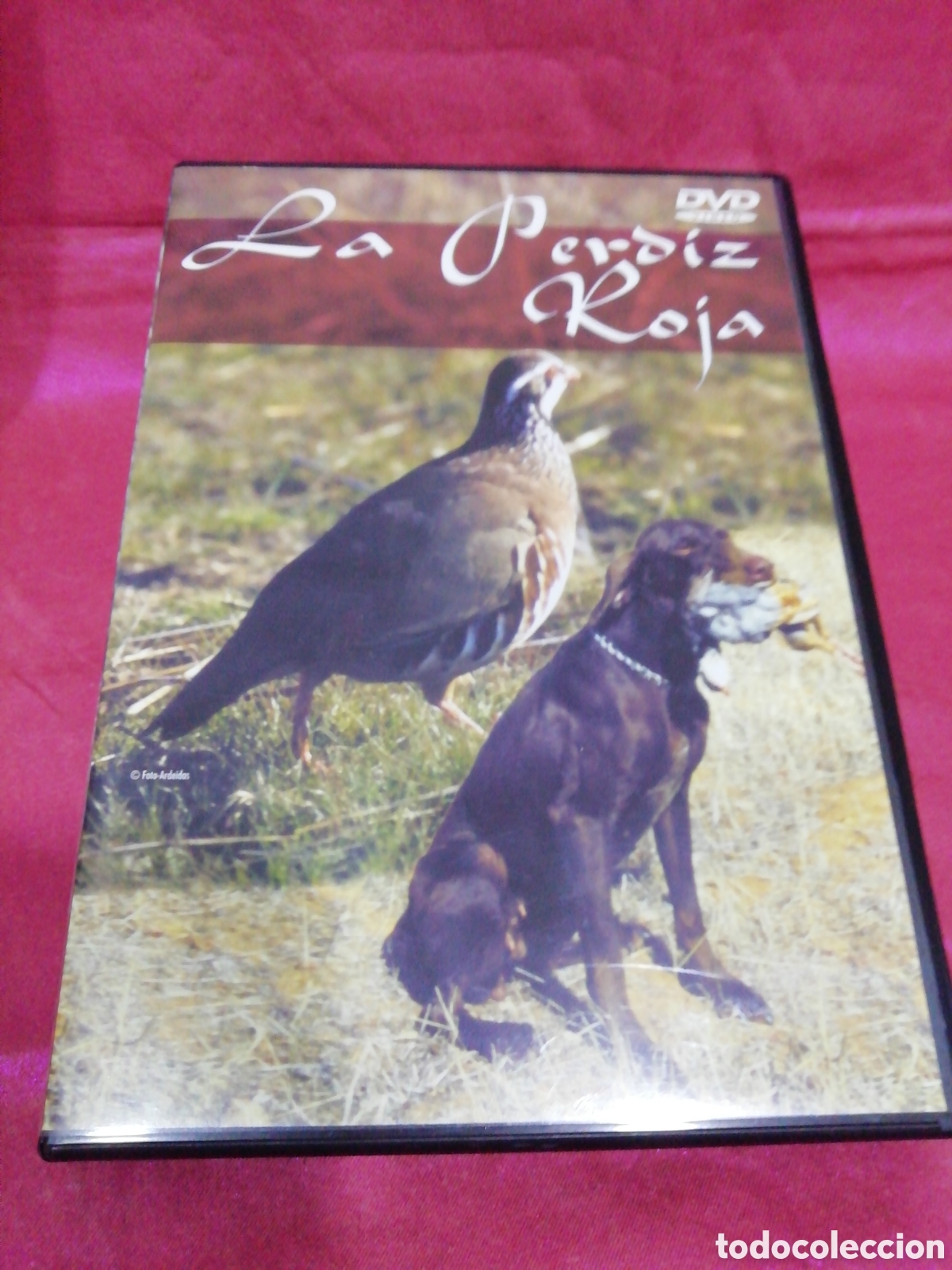Cinema: DVD Tem&aacute;tica Caza - La Perdiz Roja - Antena 3 producto oficial