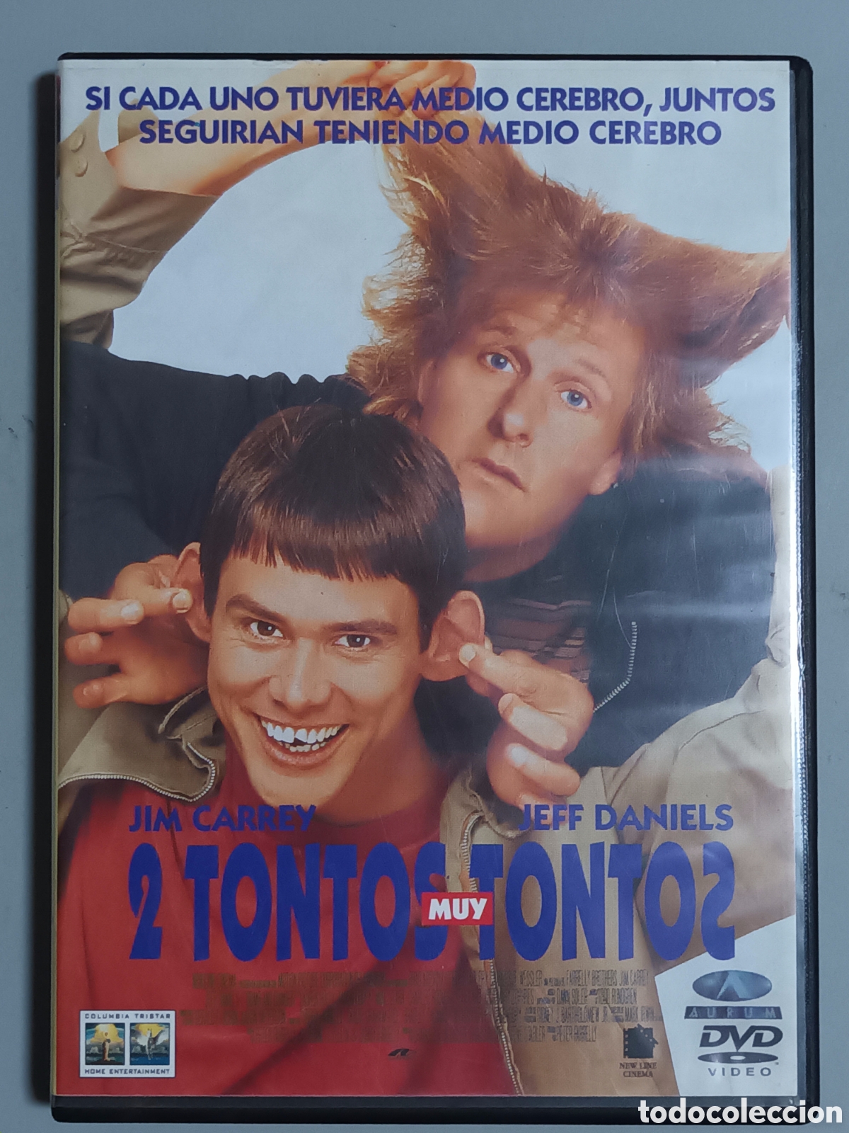 Cinema: 2 tontos muy tontos dvd