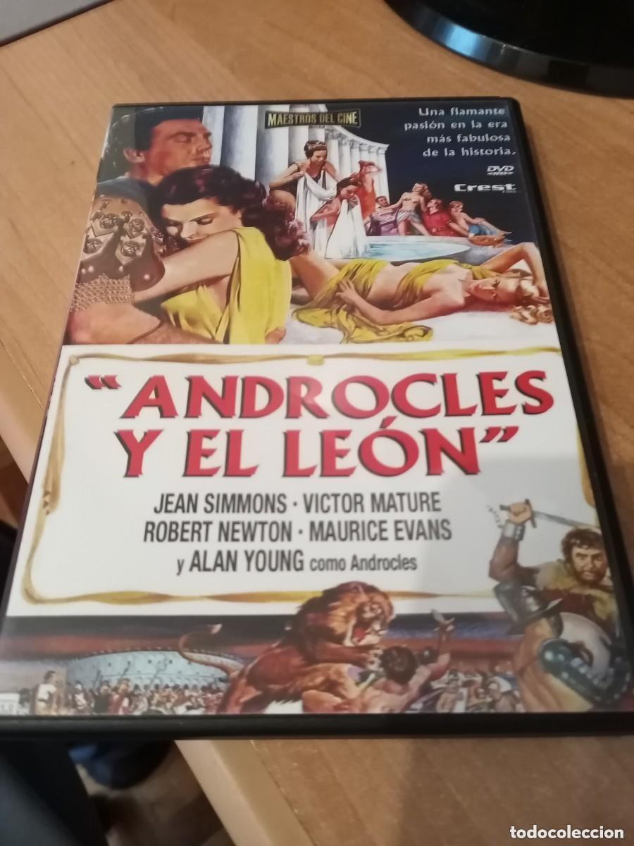 Cine: DVD: ANDROCLES Y EL LEON - Foto 1