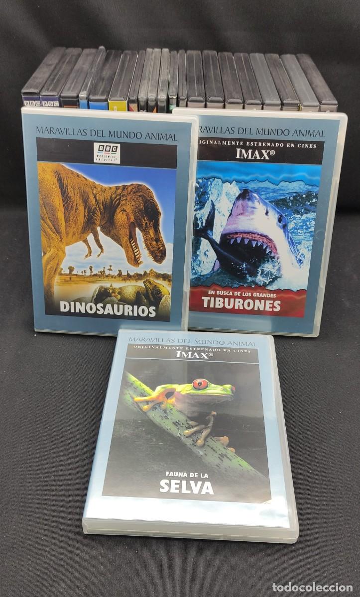 Cine: LOTE DE DOCUMENTALES EN DVD - Foto 8