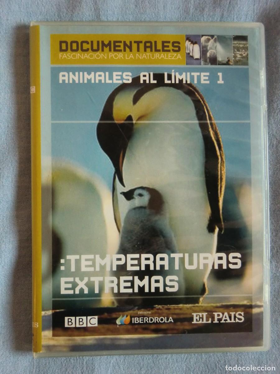 Cine: DVD ANIMALES AL L&Iacute;MITE 1: TEMPERATURAS EXTREMAS (2005) Como nuevo