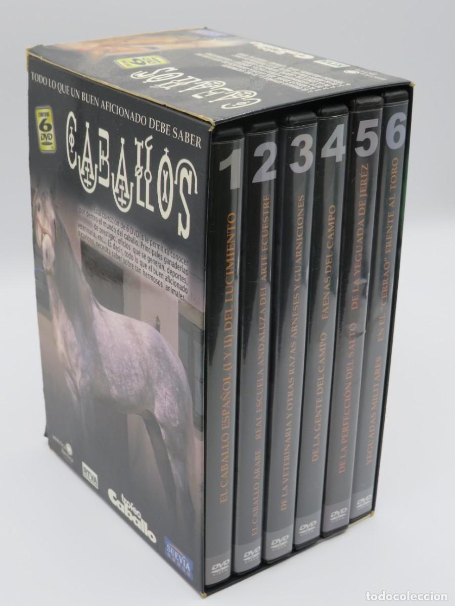 Cinema: LOTE DE COLECCION DE 6 DVD DE CABALLOS