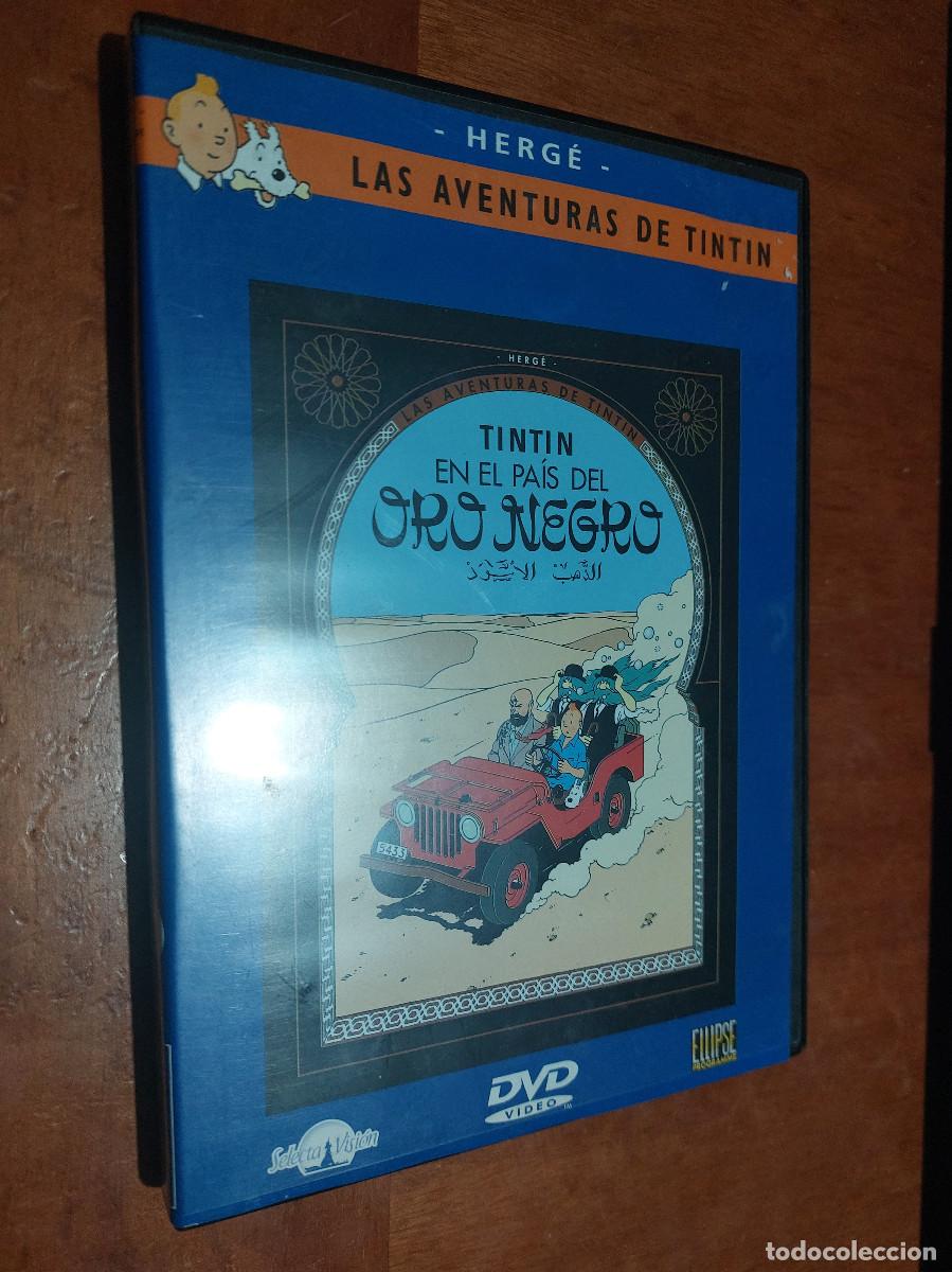 Cine: EN EL PA&Iacute;S DEL ORO NEGRO. TINTIN. ANIMACI&Oacute;N. . DVD EN BUEN ESTADO