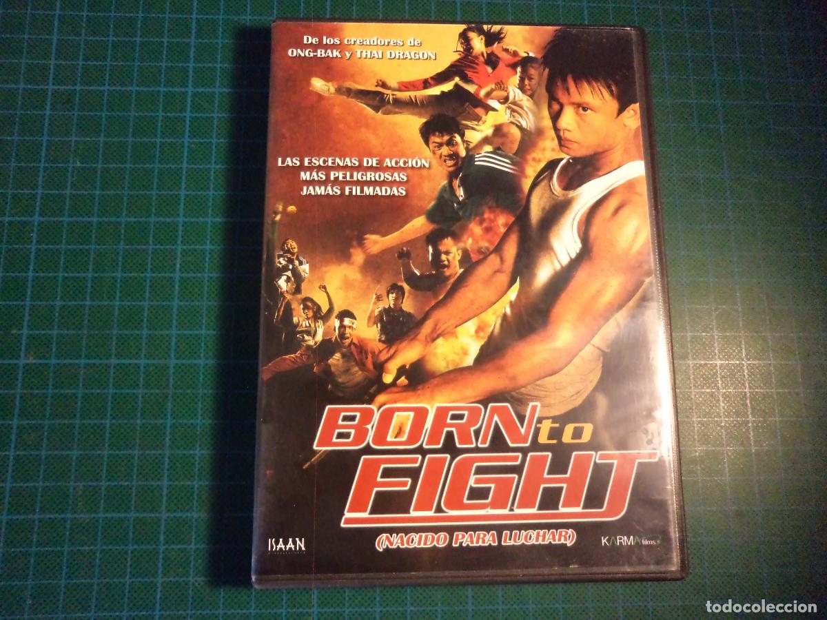 Cinema: Born to Fight. (P-51)