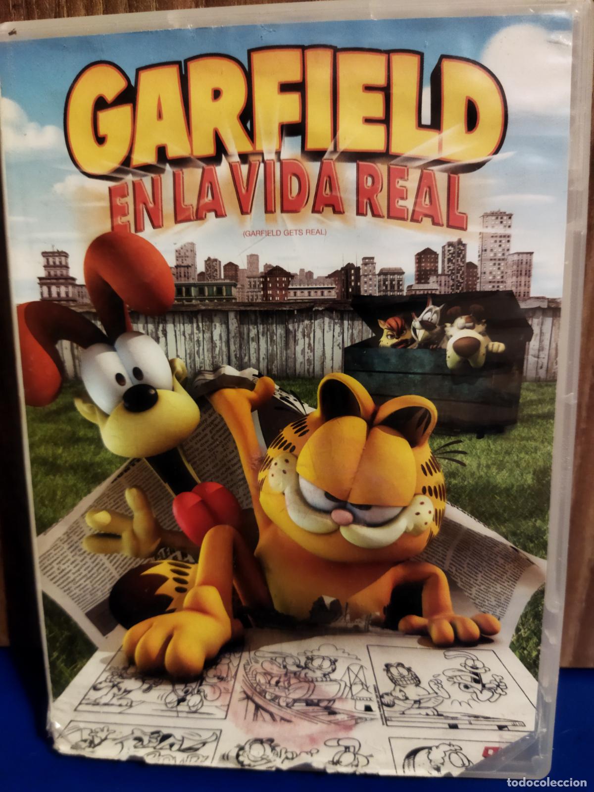 Cine: Garfield en la vida real - Foto 1
