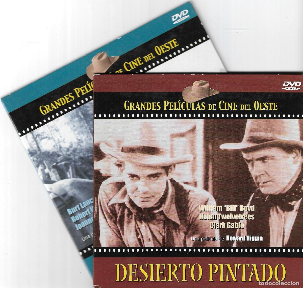 Cine: 2 DVDS WESTERN - EL VALLE DE LA VENGANZA, DESIERTO PINTADO - 2005