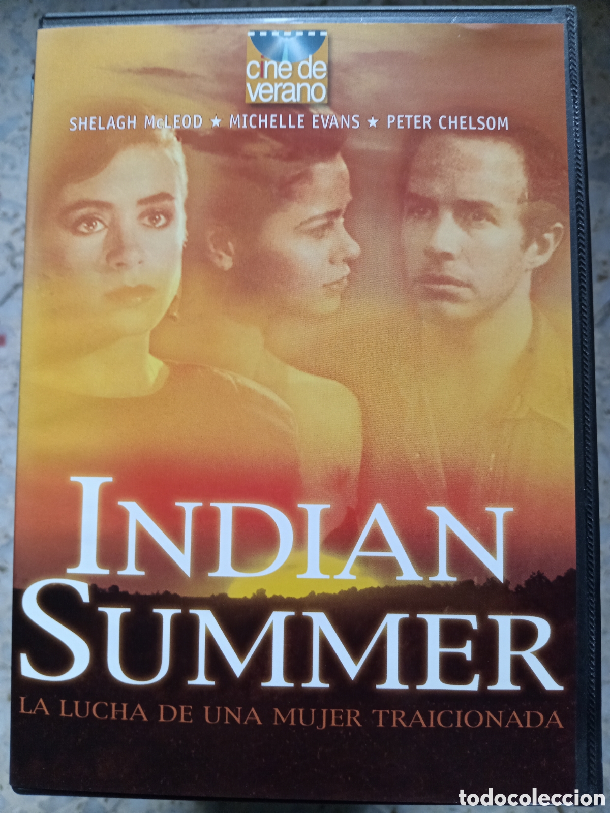 Cinema: DVD INDIAN SUMMER MICHELLE EVANS