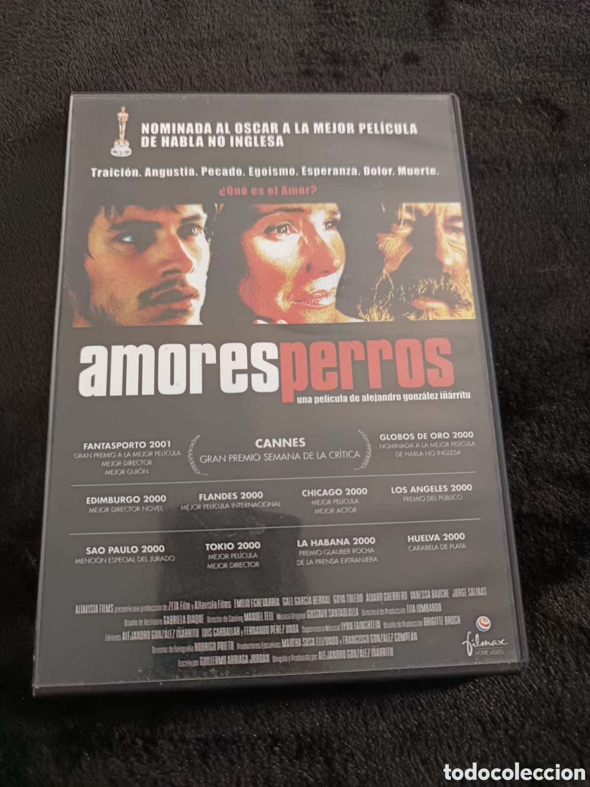 Cin&eacute;ma: Amores perro. Alejandro Gonz&aacute;lez I&ntilde;arritu
