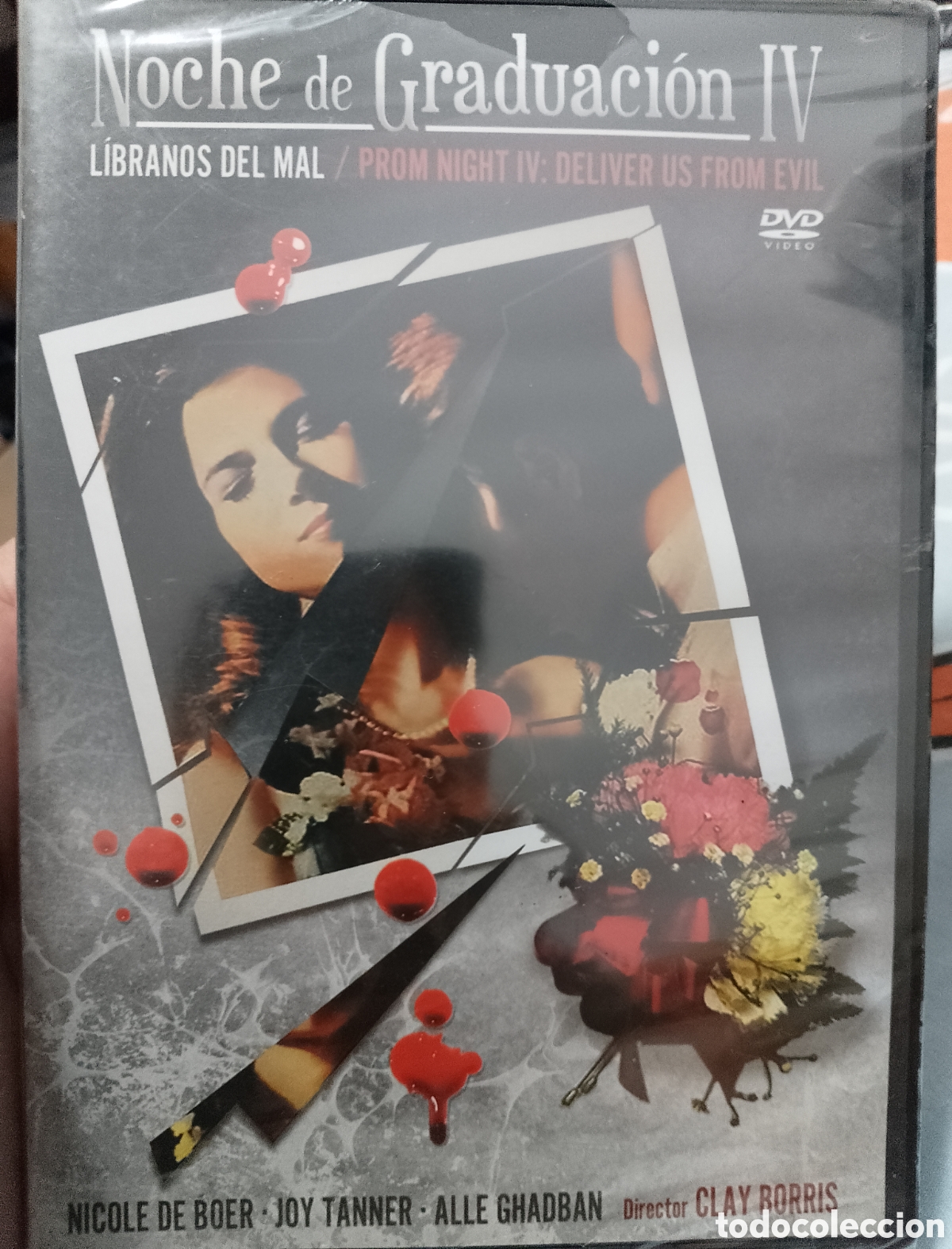 Cine: DVD Noche de graduaci&oacute;n 4