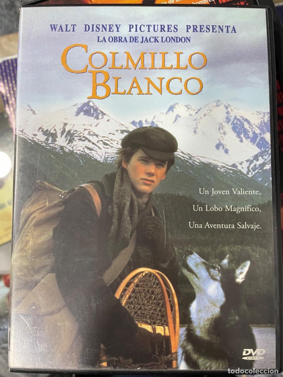 Cine: Colmillo Blanco de JACK LONDON - Foto 1