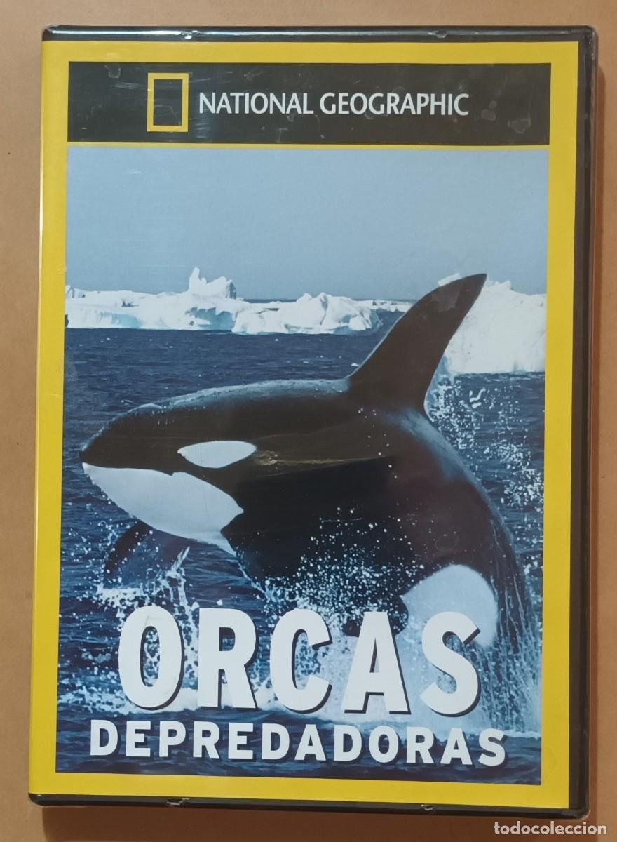 Cin&eacute;ma: DVD - ORCAS DEPREDADORAS - NATIONAL GEOGRAPHIC ** PRECINTADO