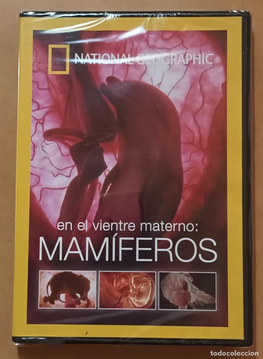 Cinema: DVD - EN EL VIENTRE MATERNO: MAMIFEROS - NATIONAL GEOGRAPHIC ** PRECINTADO