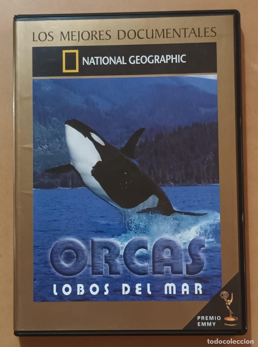 Kino: DVD - ORCAS, LOBOS DE MAR - NATIONAL GEOGRAPHIC