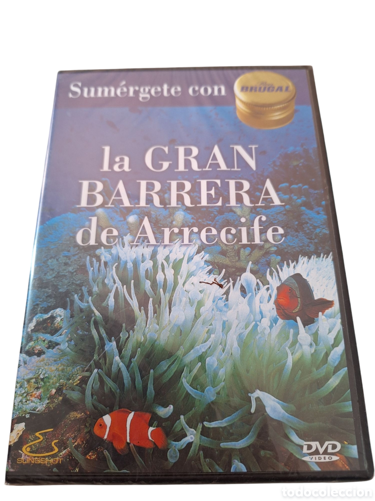 Cinema: ND142 la gran barrera de arrecife DVD NUEVO PRECINTADO