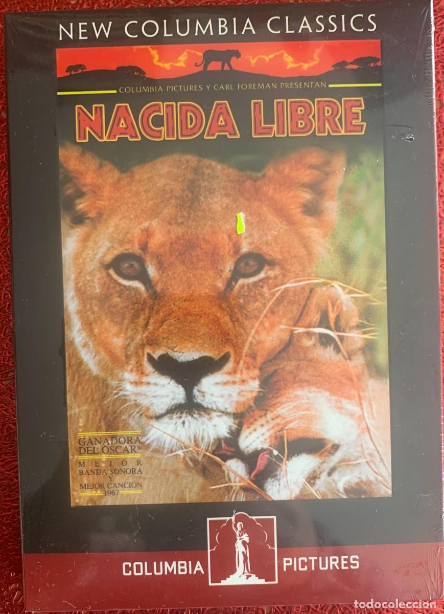 Cine: NACIDA LIBRE (James Hill, 1966) - Foto 1